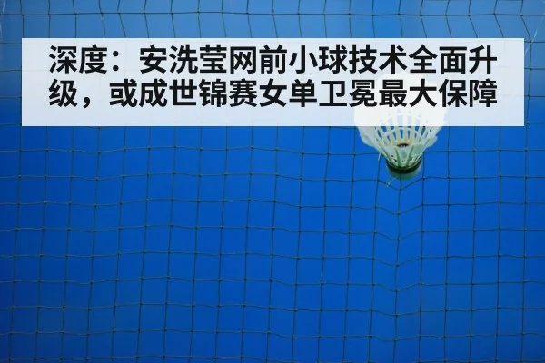 badminton net shot