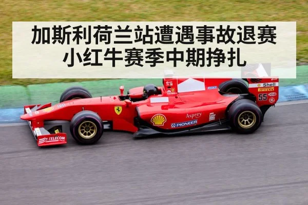 加斯利荷兰站遭遇事故退赛 小红牛赛季中期挣扎